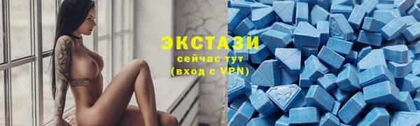 гашик Дмитровск