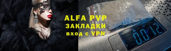 гашик Дмитровск