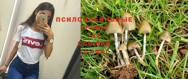бутират Дмитров