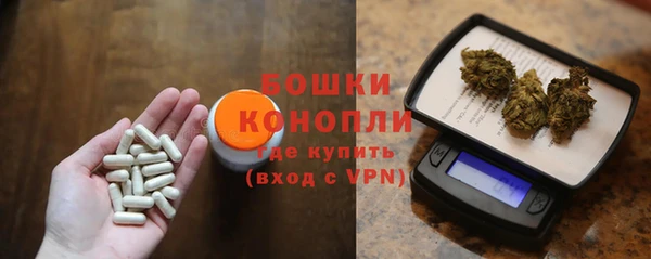 гашик Дмитровск