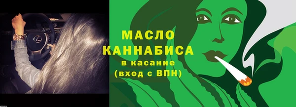 гашик Дмитровск