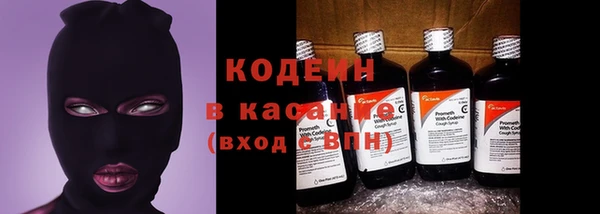 гашик Дмитровск