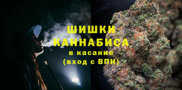 гашик Дмитровск