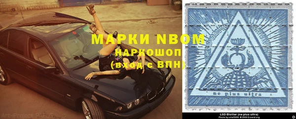 гашик Дмитровск