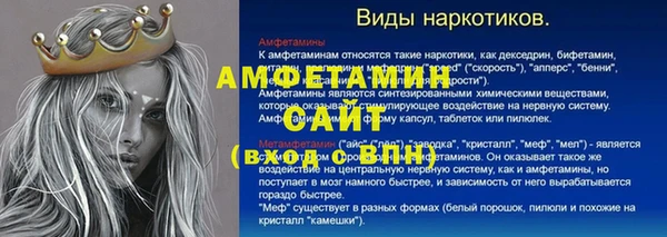 гашик Дмитровск