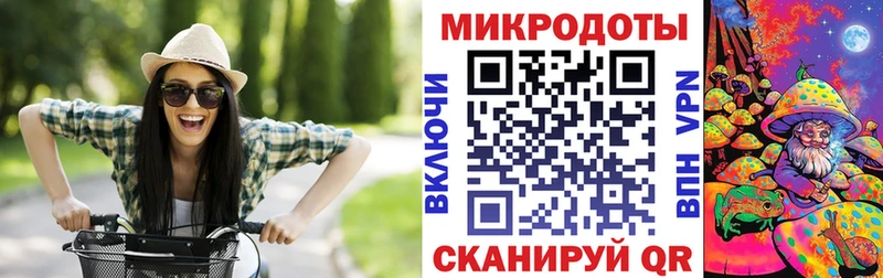 Псилоцибиновые грибы GOLDEN TEACHER  Купить  Торопец 